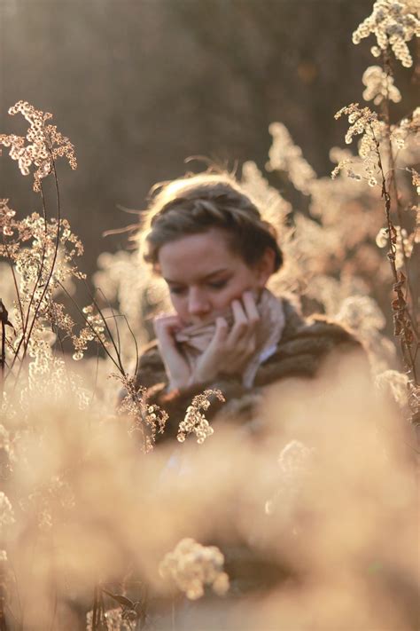 Nostalgia Dream Reed - Free photo on Pixabay - Pixabay