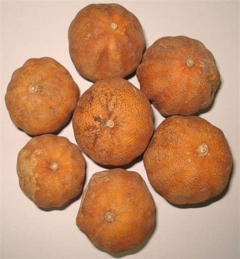 dry lemon  ozs  foods  india