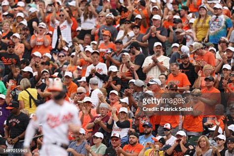 6,181 baltimore orioles fan stock photos, high-res pictures, and images