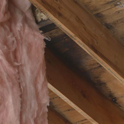 5 Ways To Keep Your Home Cool: Insulating Your Ceiling Like A Pro
