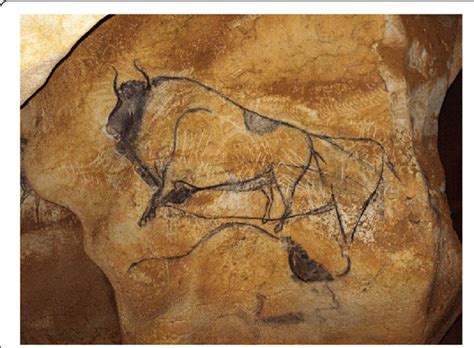 Prehistoric painting of bison in the cave of Chauvet-Pont d'Arc ...