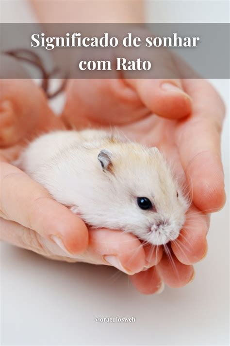 O Que Significa Sonhar Com Rato No Mundo Espiritual - Significado de sonhar com Rato: Simbolismo e interpretações