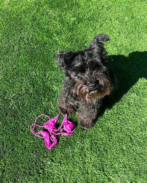 Kaitlynn Anderson Nude