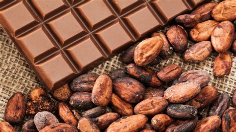 7 deliciosas curiosidades sobre el chocolate mexicano