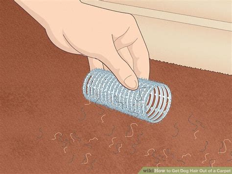 how to get dog hair out of velcro