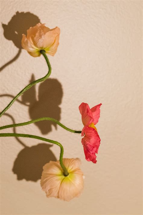 hair color for salon 1