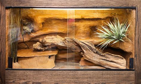 leopard gecko habitat