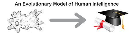 An Evolutionary Model of Human Intelligence