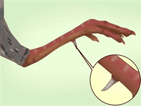 How to sex turkeys 10 different physical signs identifiers – Artofit