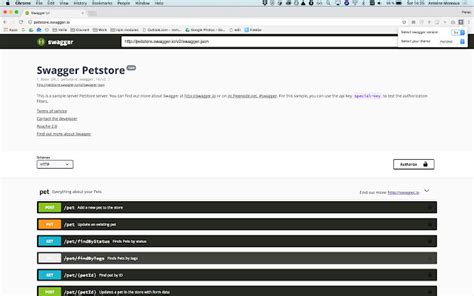 Swagger Ui Themes - Chrome Web Store