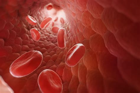 12 Interesting Facts About Blood