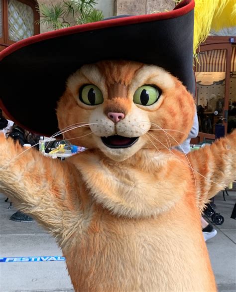 Best mascot costume quality mascots costumes – Artofit
