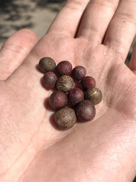 239 best Valencia Spain images on Pholder | Pics, City Porn and