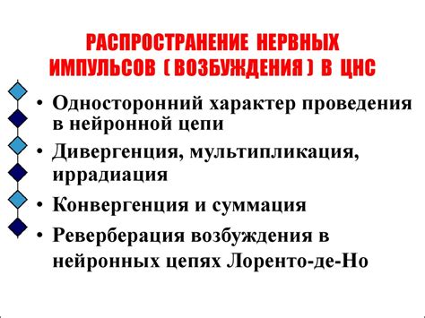 Возбуждение и торможение в ЦНС - презентация онлайн