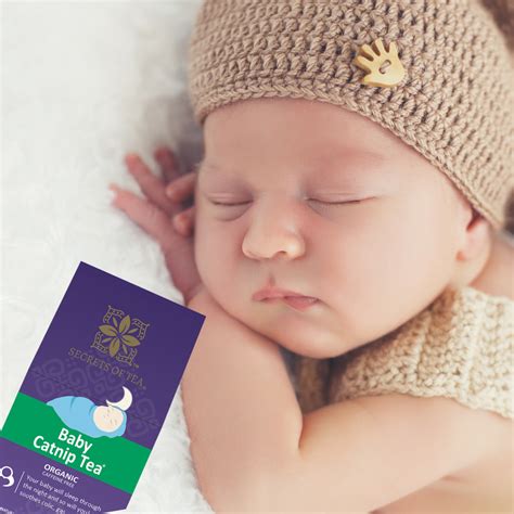 How to Help Your Baby Sleep Through the Night: A Guide for Parents ...