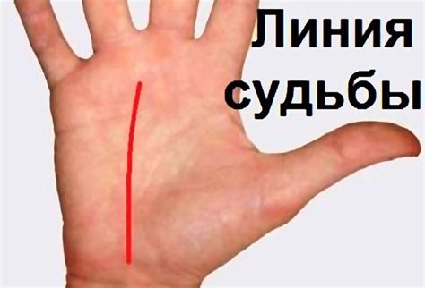 Гадание по руке онлайн. Как гадать самостоятельно?