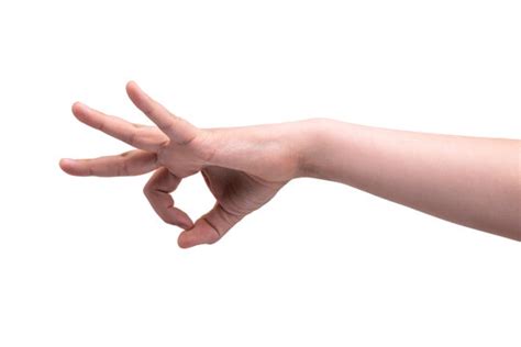 รูปภาพFlicking – เลือกดูภาพถ่ายสต็อก เวกเตอร์ และวิดีโอ19,149 | Adobe Stock