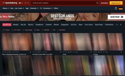 die  besten spankbang downloader   funktionierts