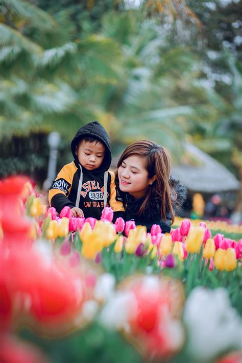 Asian Mom And Son Photos, Download The BEST Free Asian Mom And Son
