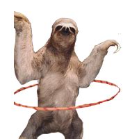 Sloth Free Download Png Transparent HQ PNG Download | FreePNGimg