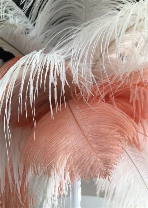 centerpiece rentals  complete ostrich feather centerpieces