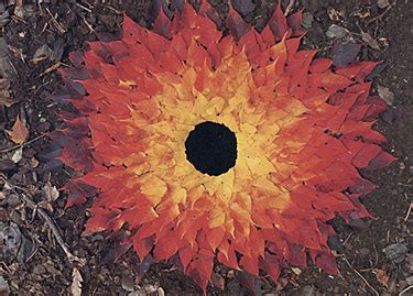 Andy Goldsworthy Leaves And Hole