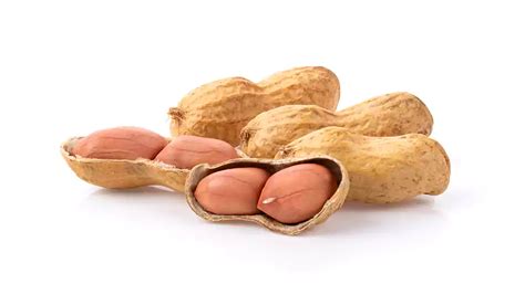 peanut maharajafarmersmarket