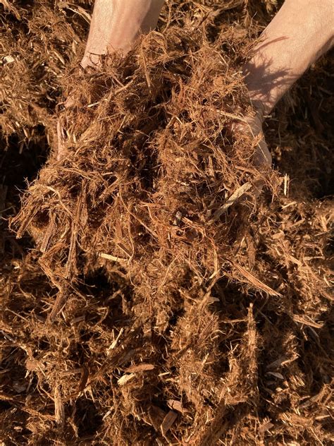 “Gorilla Hair” Mulch – Plant's Choice, Inc.