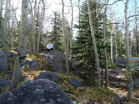 About – Samantha Strong – Medium