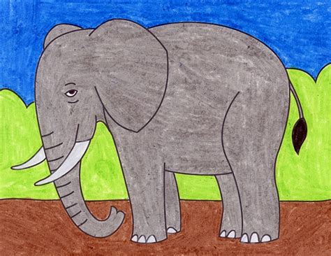 draw  elephant easy step  step art lesson  kids