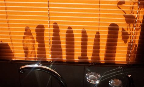 So the silhoutte of my cleaning products on my window looks like i have