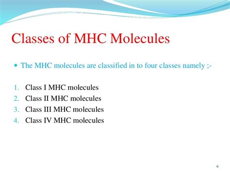 Major Histocompatibility complex