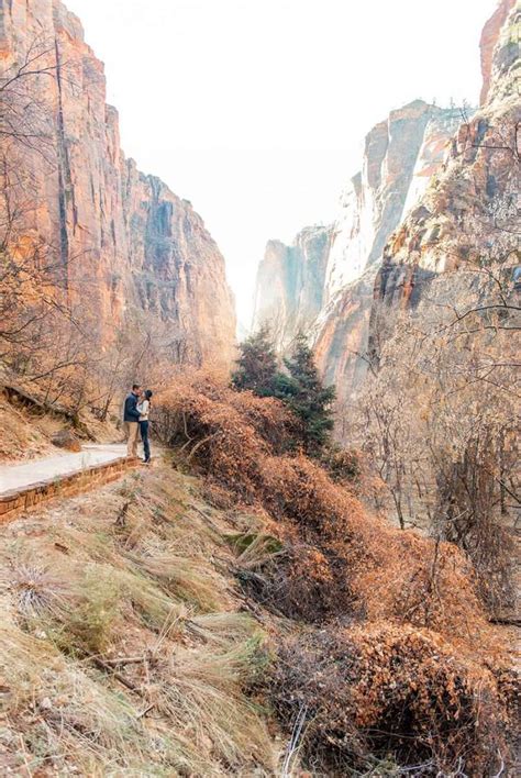 Hiking in Zion National Park: Ultimate Guide - ZION BRIDES