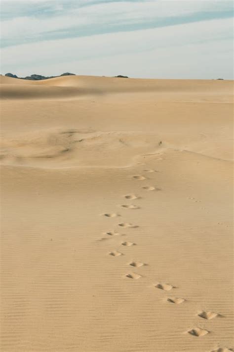 Footprints on a Desert · Free Stock Photo