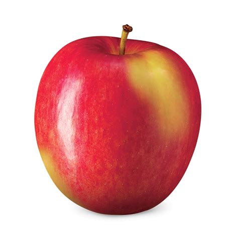Apple Varieties – Knight's Apples