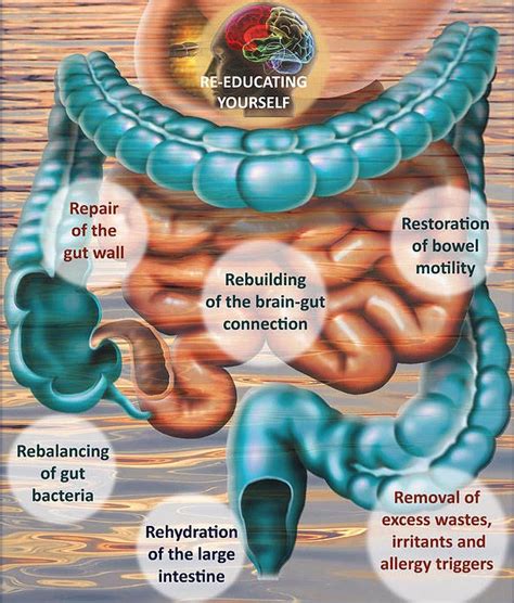 What is Mucoid Plaque?