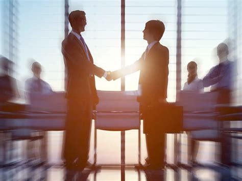 alphatauri consultancy