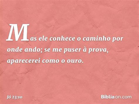 João 23 Bíblia - Jó 23:10 - Bíblia