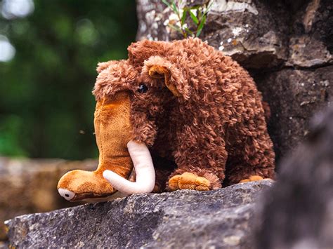 Woolly Mammoth – Education Outdoors