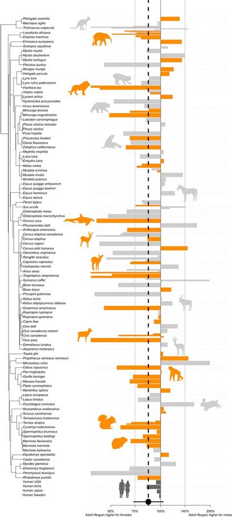 Sex differences in adult lifespan and aging rates of mortality across ...