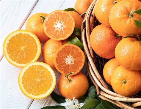 laranja conheca os seus  beneficios   sua composicao