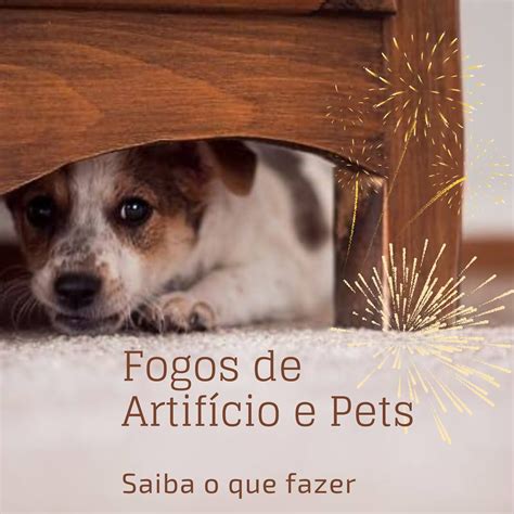 Pet Shop Nilopolis - Máxima Pet Shop | Nilópolis RJ