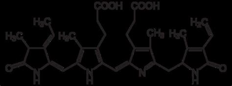 Phycoerythrin ~ Detailed Information | Photos | Videos