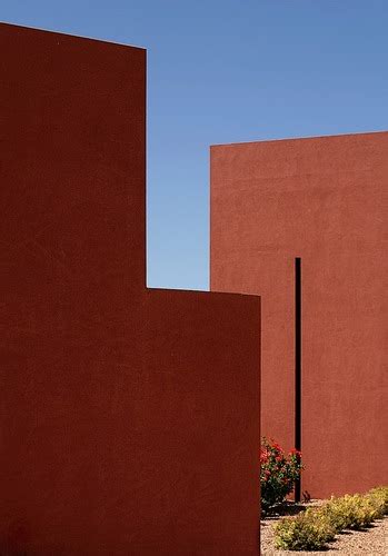 hare photo atwillharephoto twitter