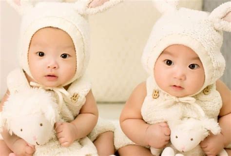 su  ve kich thich trung de sinh doi