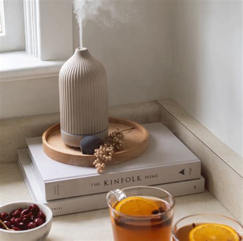 put  oil diffuser  deidra mckoy blog