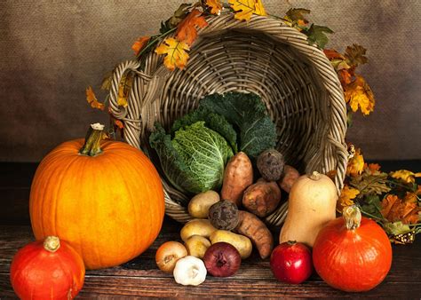What vegetable are you? Quiz here! – Ponly