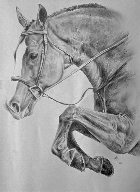 Horse pencil drawing Drawing by Arion Megid Khedhiry - Fine Art America