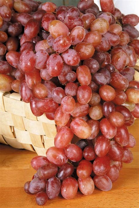 Red Grapes in a Basket - Prepared Food Photos, Inc.