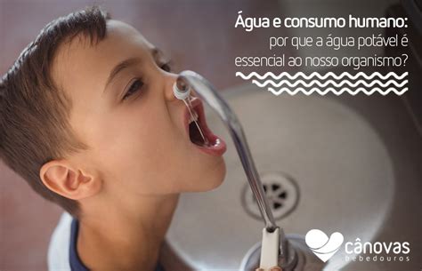 A Importância Da Água Potável - A Importancia Da Agua Potavel - NAZAEDU